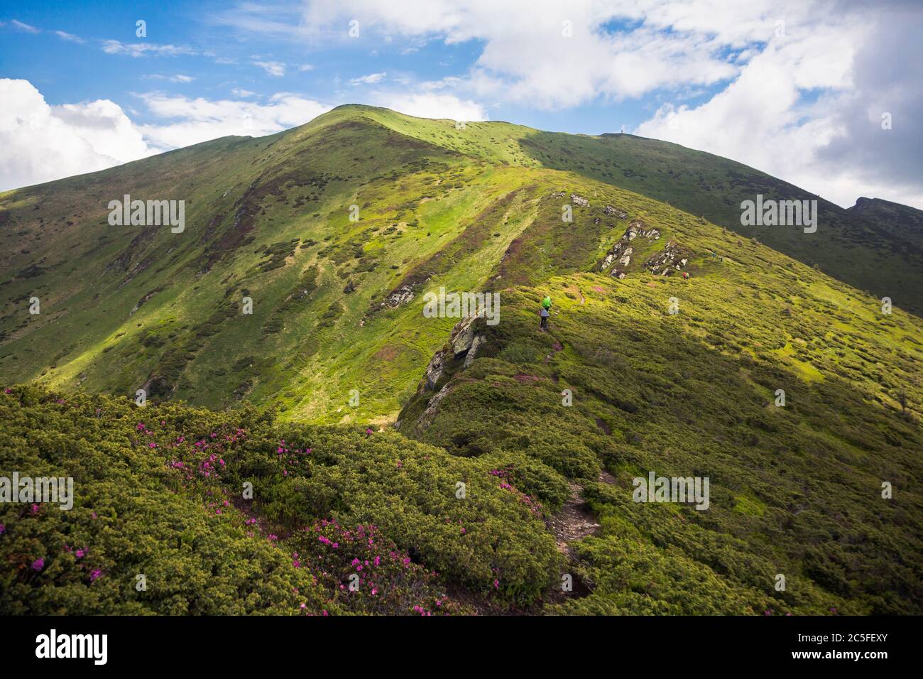 I turisti seguono il sentiero lungo la catena montuosa. Escursione viaggio  all'aperto concetto vista panoramica. Ucraino Carpazi Montagne, Ucraina  Foto stock - Alamy