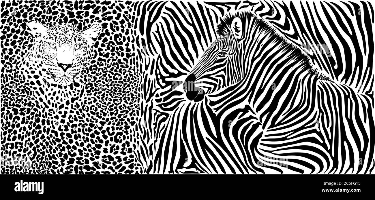 Sfondo animale selvaggio - modello con motivo leopardo e zebra Illustrazione Vettoriale