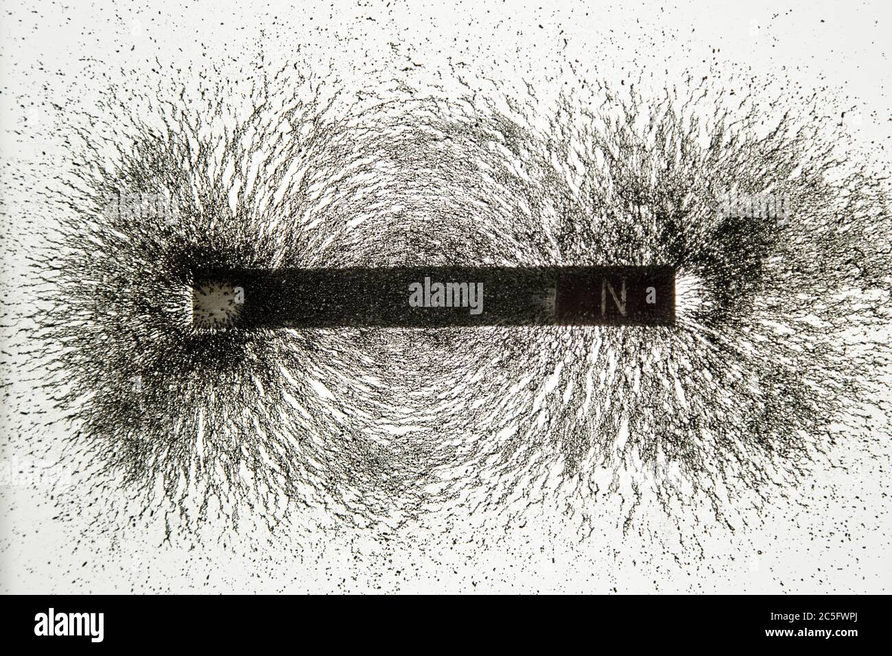 Illustrazione delle linee di campo magnetico con limature di ferro Foto Stock