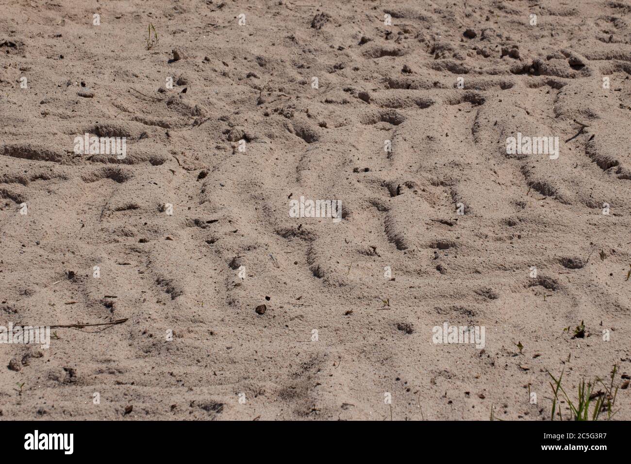 Gli pneumatici del trattore si cinge nella sabbia Foto Stock