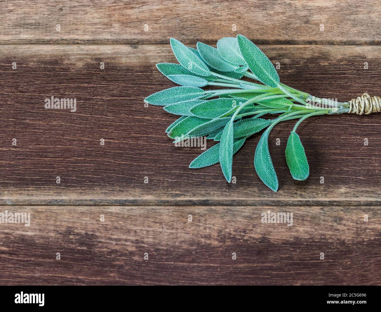 foglie di salvia viste dall'alto con sfondo di tavola di legno Foto Stock