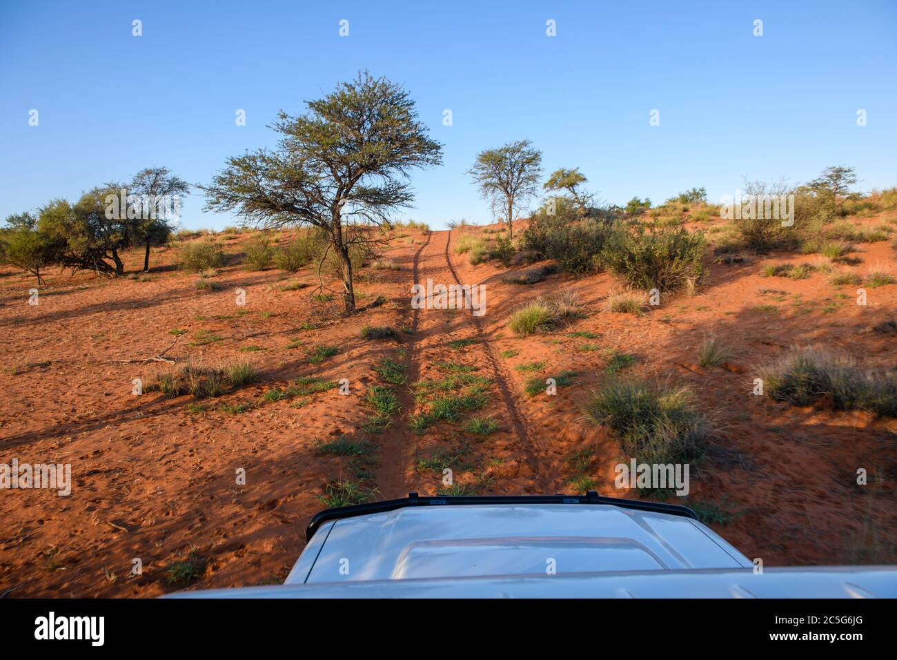 Guida attraverso strade sterrate nel deserto di Kalahari, Namibia Foto Stock