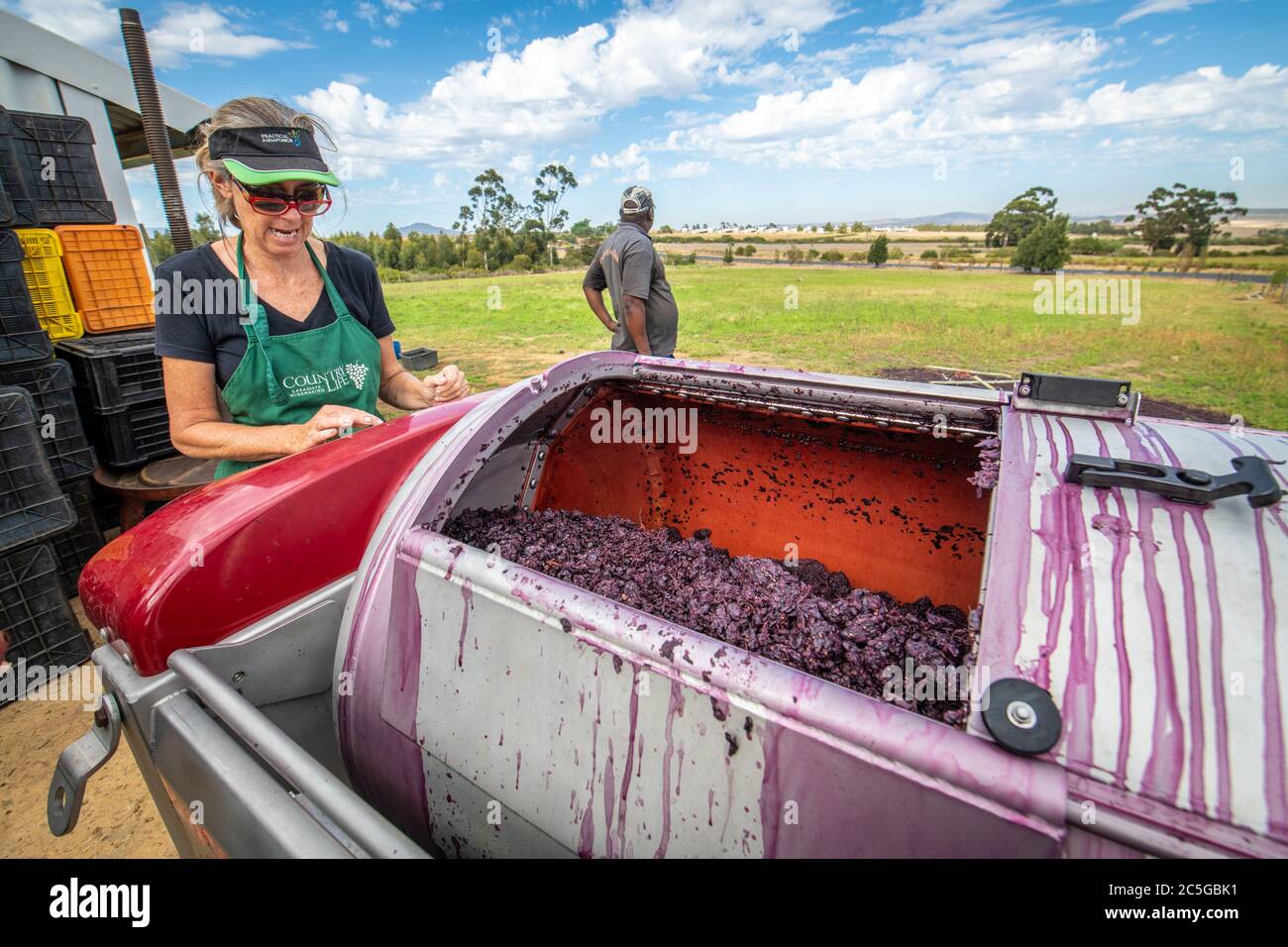 Il personale si è fatto un'azienda vinicola Black Pearl Winery, Paarl, Western Cape, Sudafrica Foto Stock