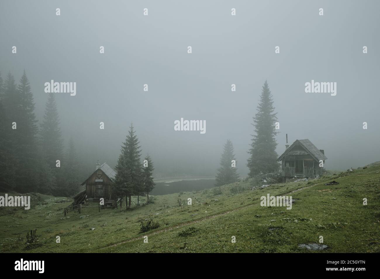 Bellissimo luogo con pascoli verdi in montagna intorno al lago Planina pri jezeru nel parco nazionale del Triglav in Slovenia con tradizionali capanne in legno Foto Stock