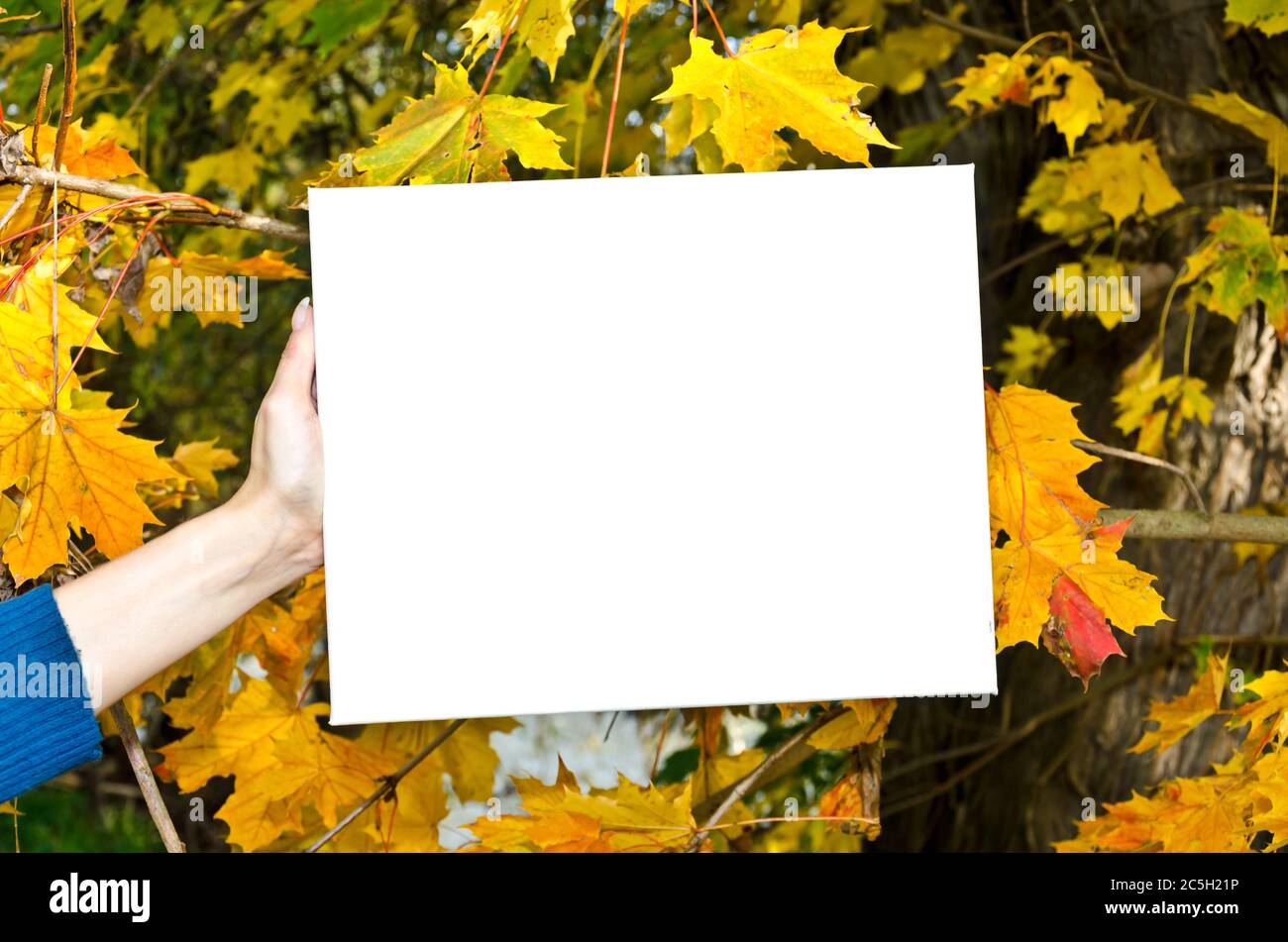 Cartello bianco vuoto davanti alle colorate foglie d'autunno Foto Stock