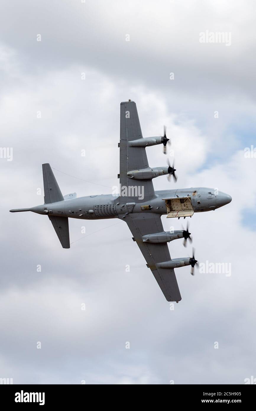 Royal Australian Air Force (RAAF) Lockheed AP-3C Orion Maritime Patrol e Anti sottomarino Warfare aeromobili volare con la sua baia armi aperto. Foto Stock