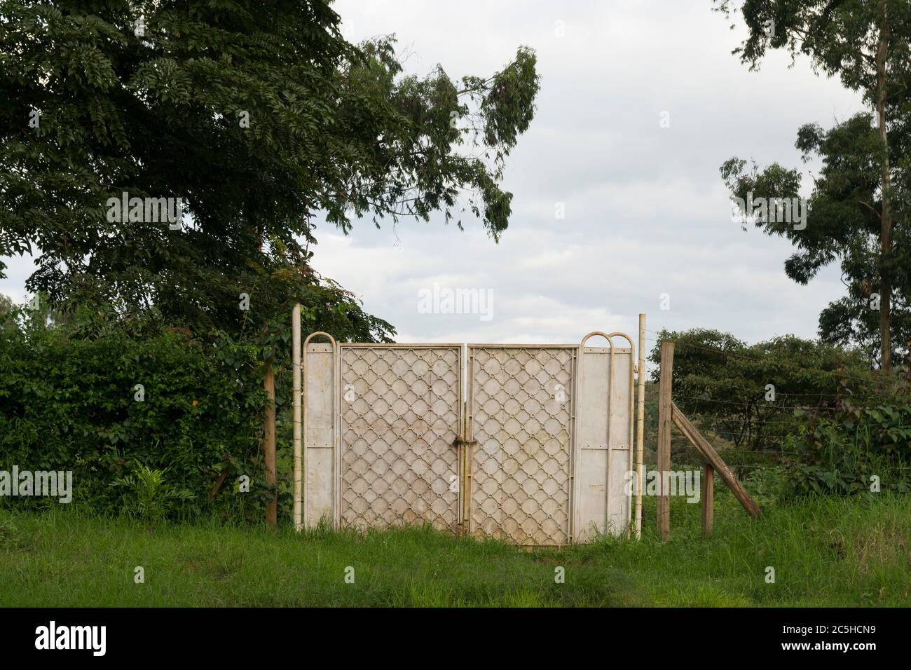 Alberi, corsa, Nairobi, Kenya 18 Maggio 2018Vista del Santuario della Foresta di Ngong vicino al campo da corsa di cavalli di Nairobi, Ngong Road, Foresta di Ngong Sanctua Foto Stock