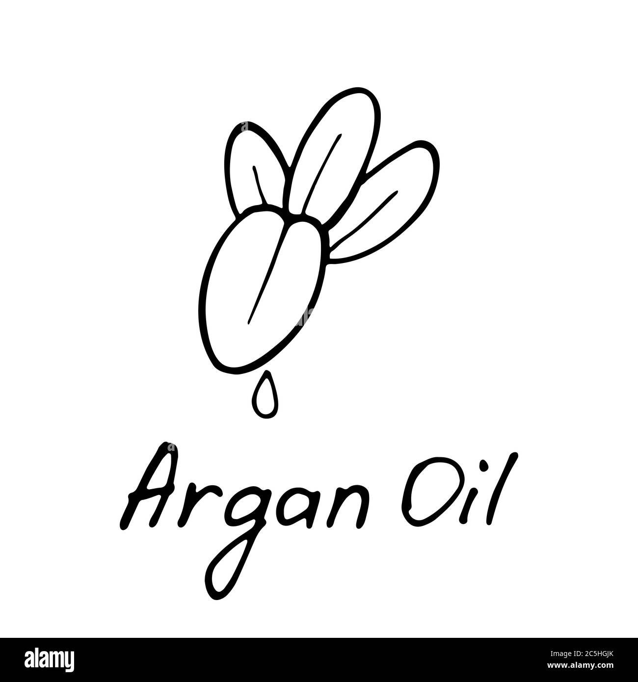 Burro di Argan. Ingrediente cosmetico. Olio nutrizionale per la cura della pelle. Icona disegnata a mano del dado di argan. Illustrazione vettoriale Illustrazione Vettoriale