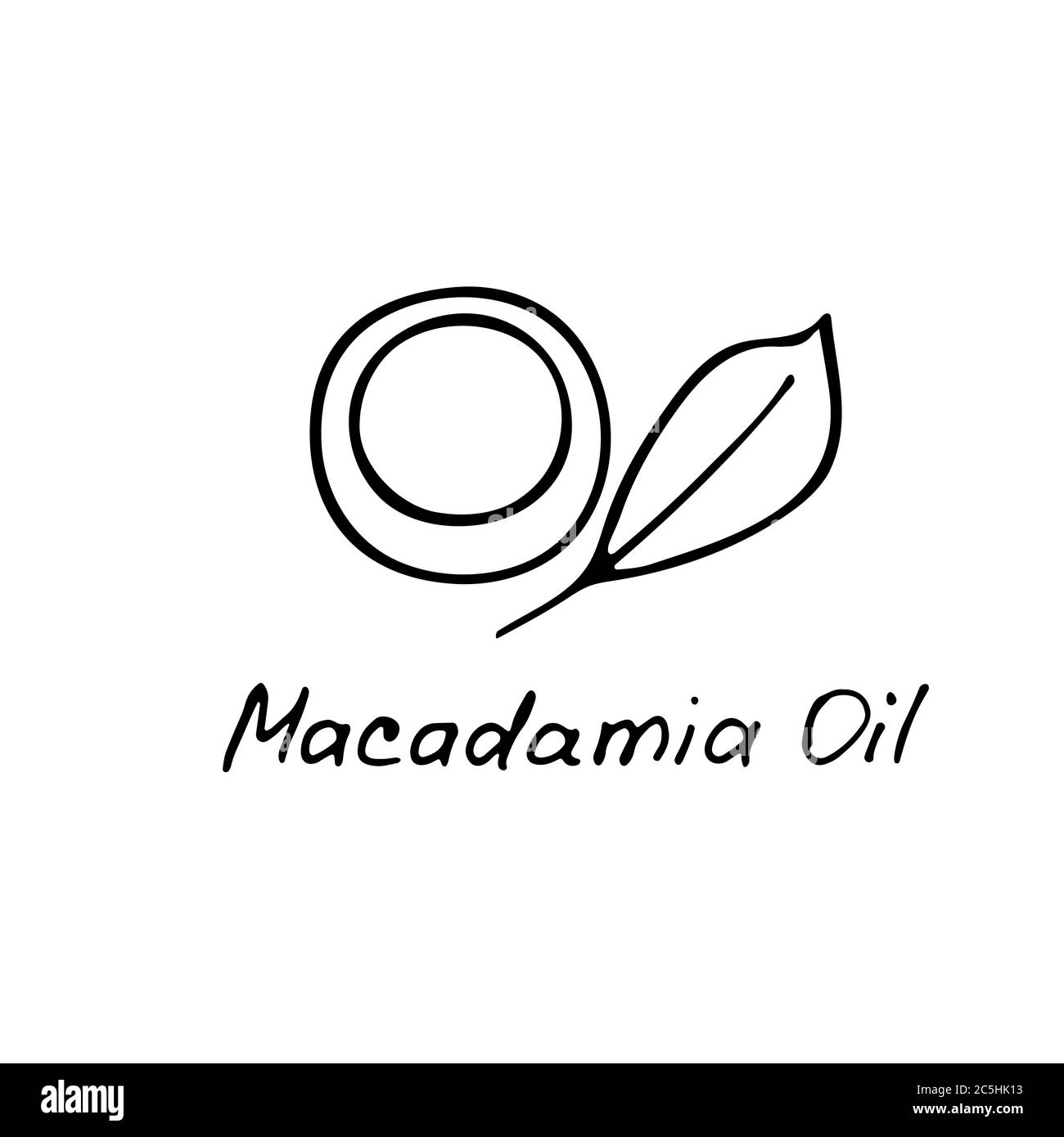 Olio di macadamia. Ingrediente cosmetico. Olio nutrizionale per la cura della pelle. Icona disegnata a mano di noce di macadamia. Illustrazione vettoriale. Illustrazione Vettoriale