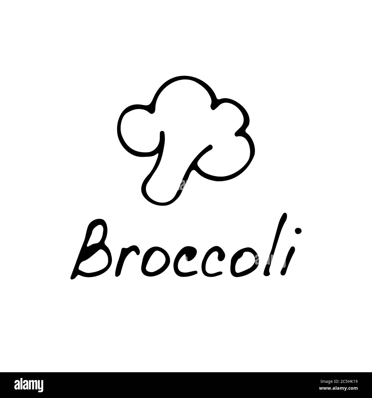 Icona dei broccoli vettoriali. Icona cibo. Logo di broccoli disegnato a mano per stampa e web Illustrazione Vettoriale