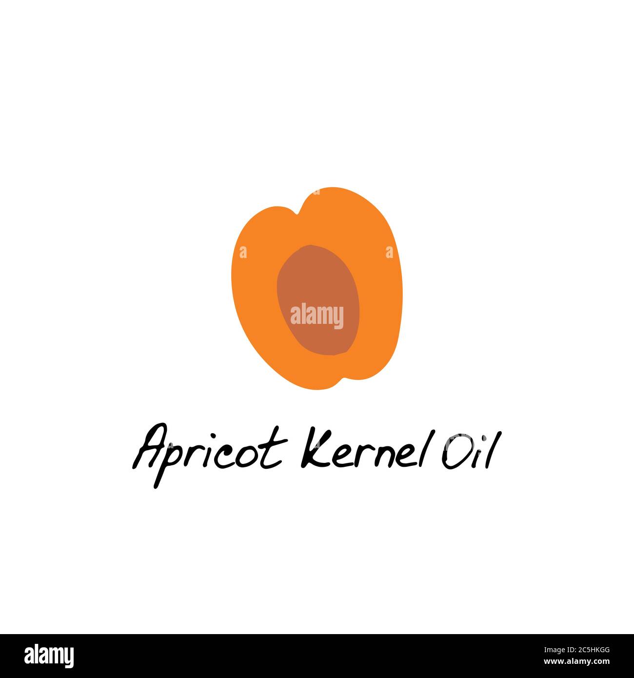 Olio di nocciolo di albicocca. Ingrediente cosmetico. Olio nutrizionale per la cura della pelle. Icona disegnata a mano di albicocca. Illustrazione vettoriale Illustrazione Vettoriale