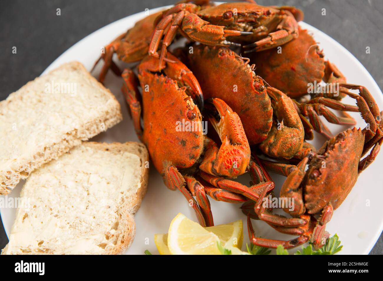 Granchi da bagno in velluto bolliti e cotti, Necora Puber, su un piatto bianco con pane e limoni. Sebbene non sia ampiamente consumato nel Regno Unito, il cr Foto Stock