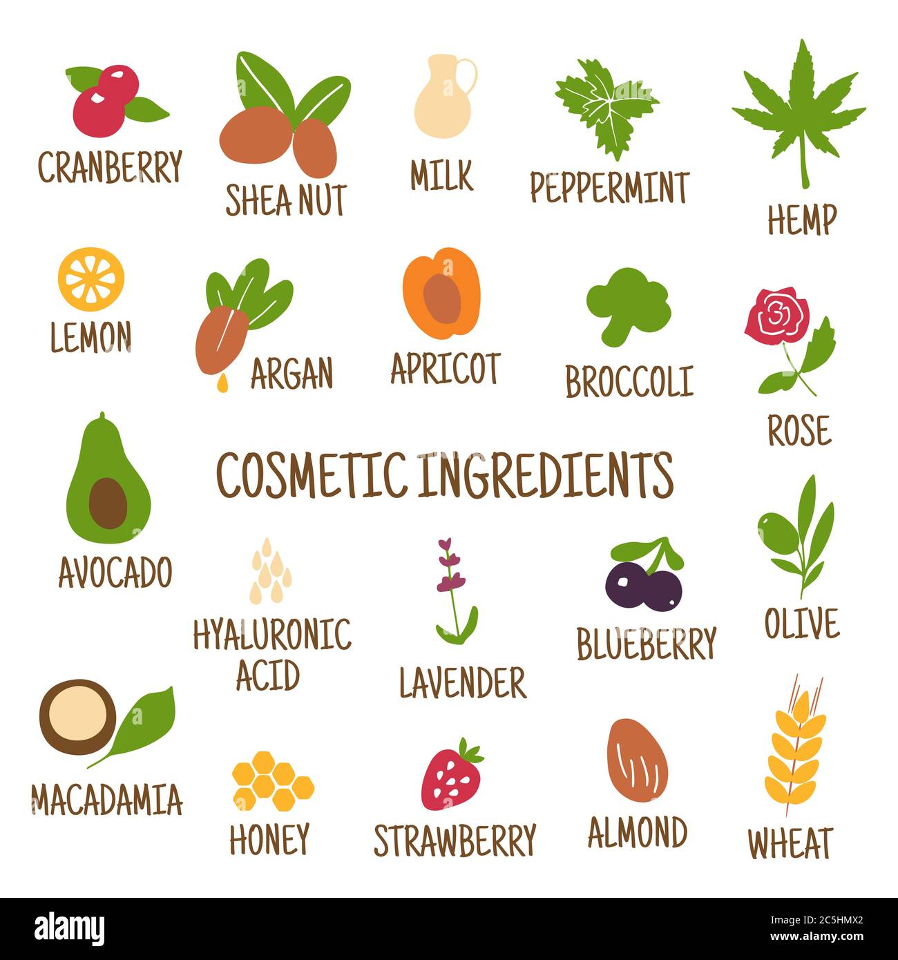 Ingredienti cosmetici. Icone disegnate a mano di erbe, frutta, verdura, fiori, oli. Raccolta di icone vettoriali. Illustrazione Vettoriale