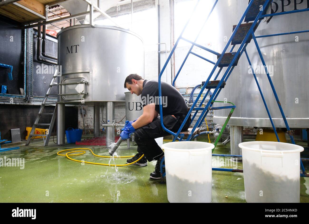 Londra, Regno Unito. 3 luglio 2020 filtro di pulizia Twickenham Brewery, Londra Ovest, torna a quasi capacità, come il pub che fornisce si prepara ad aprire il 4 luglio 2020 in Inghilterra, dopo il blocco è stato sollevato. Andrew Fosker / Alamy Live News Foto Stock