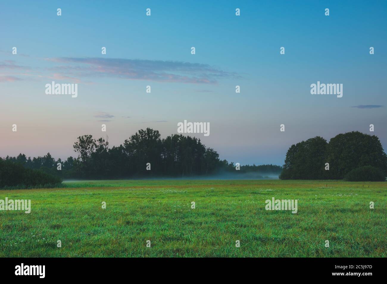 Pascoli e alberi foggosi, cielo colorato dopo il tramonto Foto Stock