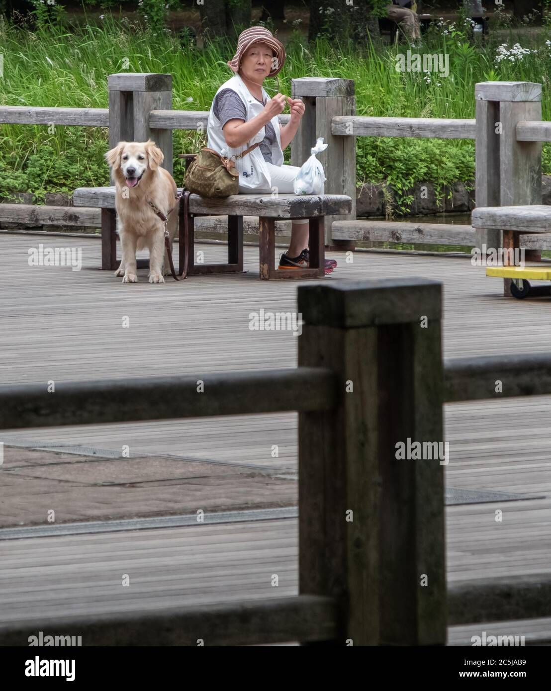 Donna anziana con il suo cane nel Parco di Yoyogi, Tokyo, Giappone Foto Stock