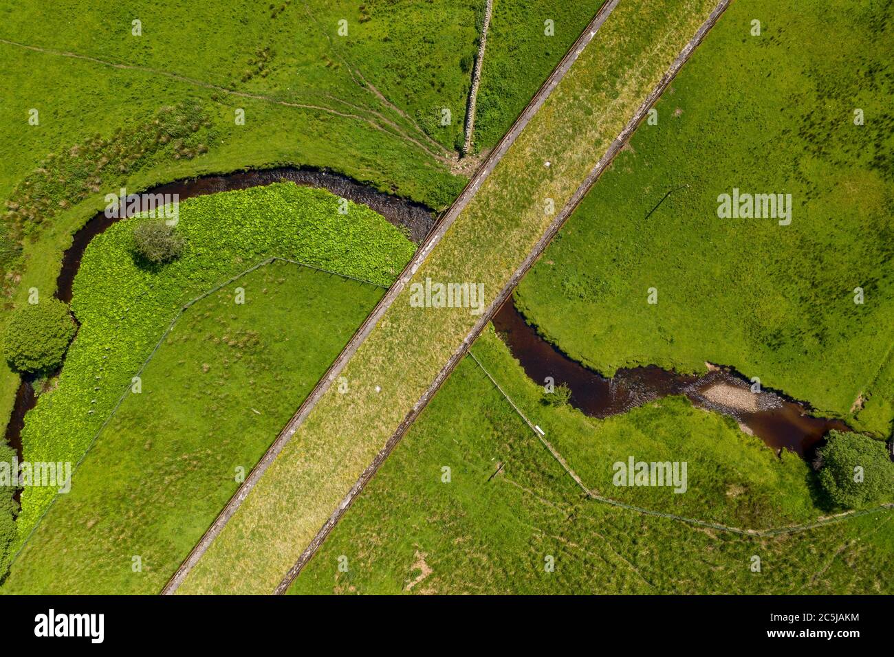 Il viadotto Shankend vicino Hawick ai confini scozzesi. Il viadotto sulla Waverley Line è stato chiuso nel 1969 a seguito della relazione Beeching. Foto Stock