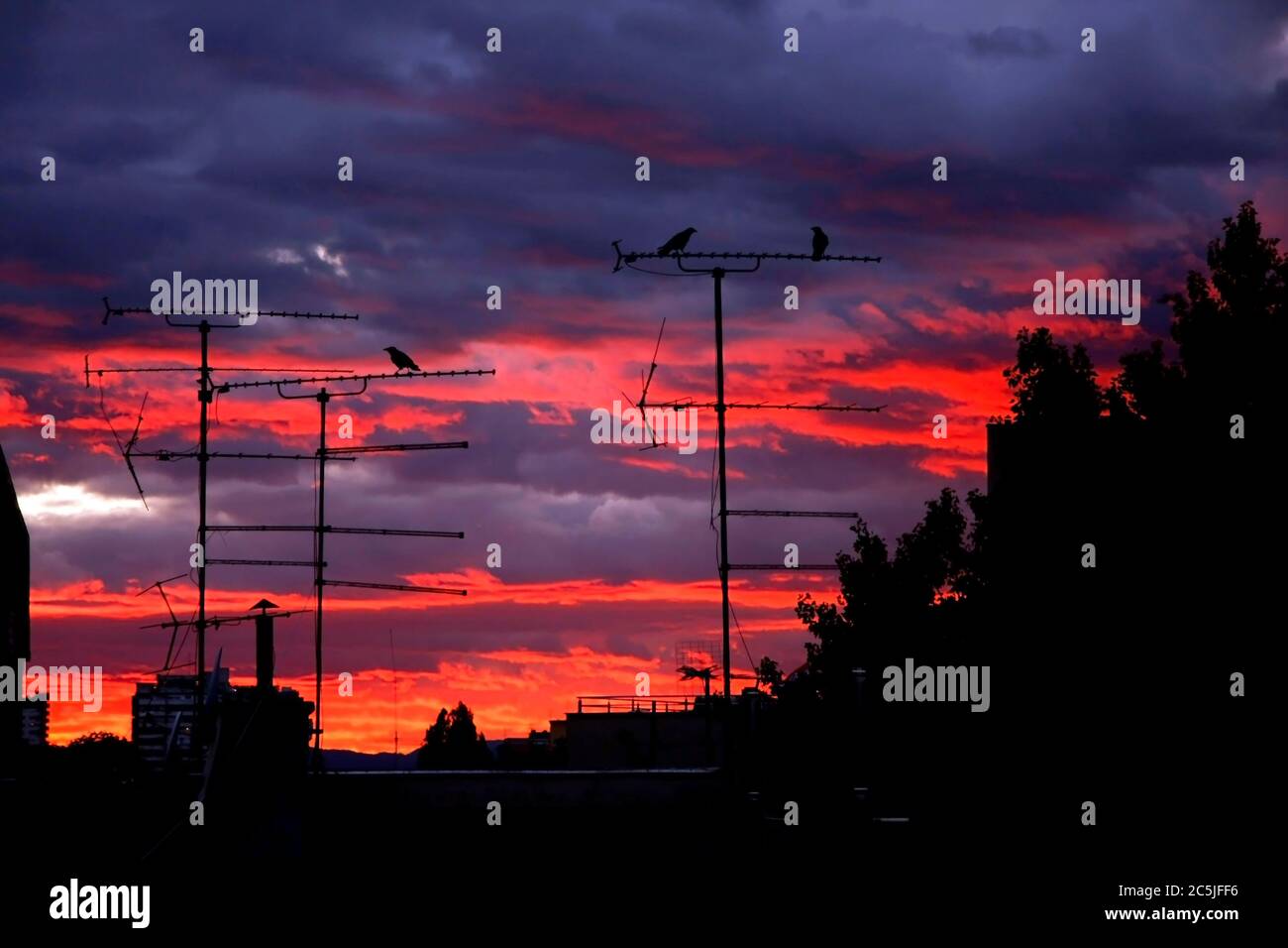 Tre uccelli corvo seduti sull'antenna con il colorato tramonto dietro Foto Stock