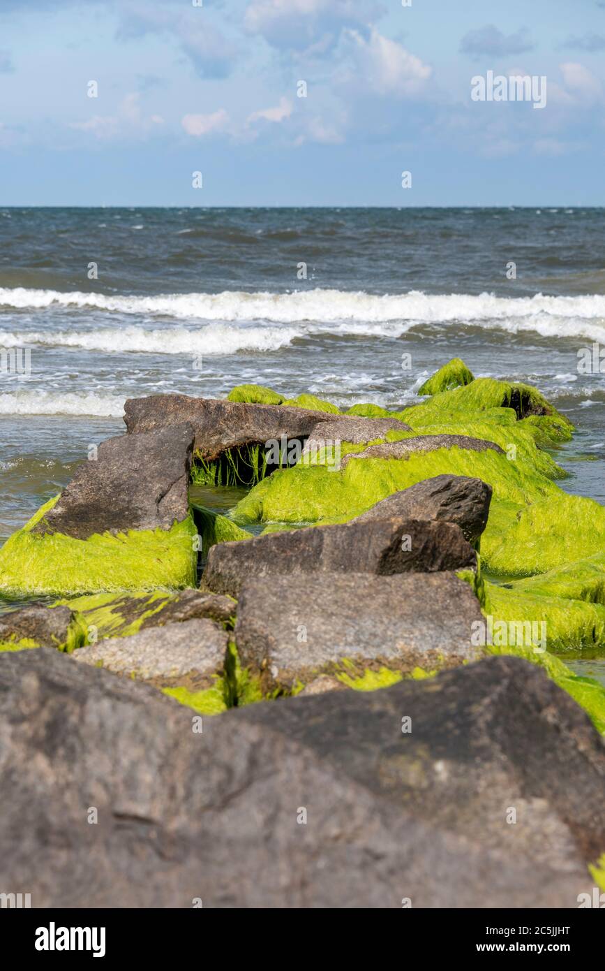 Neuendorf, Germania. 06 giugno 2020. Groynes, griny di pietra che sporgono dall'acqua sulla spiaggia di Neuendorf, sono supposti per contrastare l'erosione della terra, tra le altre cose. Credit: Fahren/dpa-Zentralbild/ZB/dpa/Alamy Live News Foto Stock