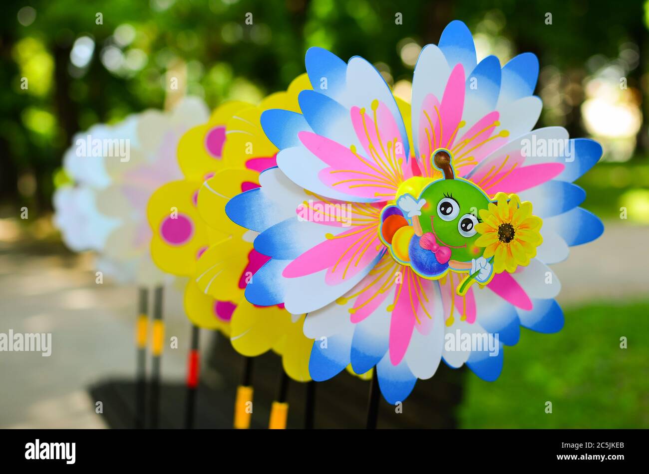 Molti pinoli multicolore in fila, ilustrati e decorati Foto Stock