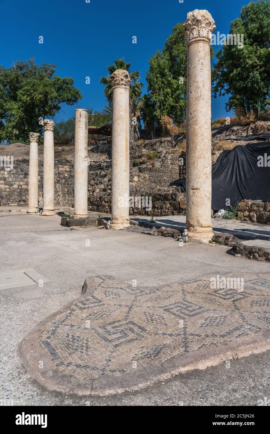 Israele, Bet She'an, Parco Nazionale di Bet She'an, un pavimento in piastrelle a mosaico nelle rovine della città di Scytopolis, una città romana nel nord di Israele. Durante l'epoca romana, fu una delle più importanti città della Decapoli. Foto Stock