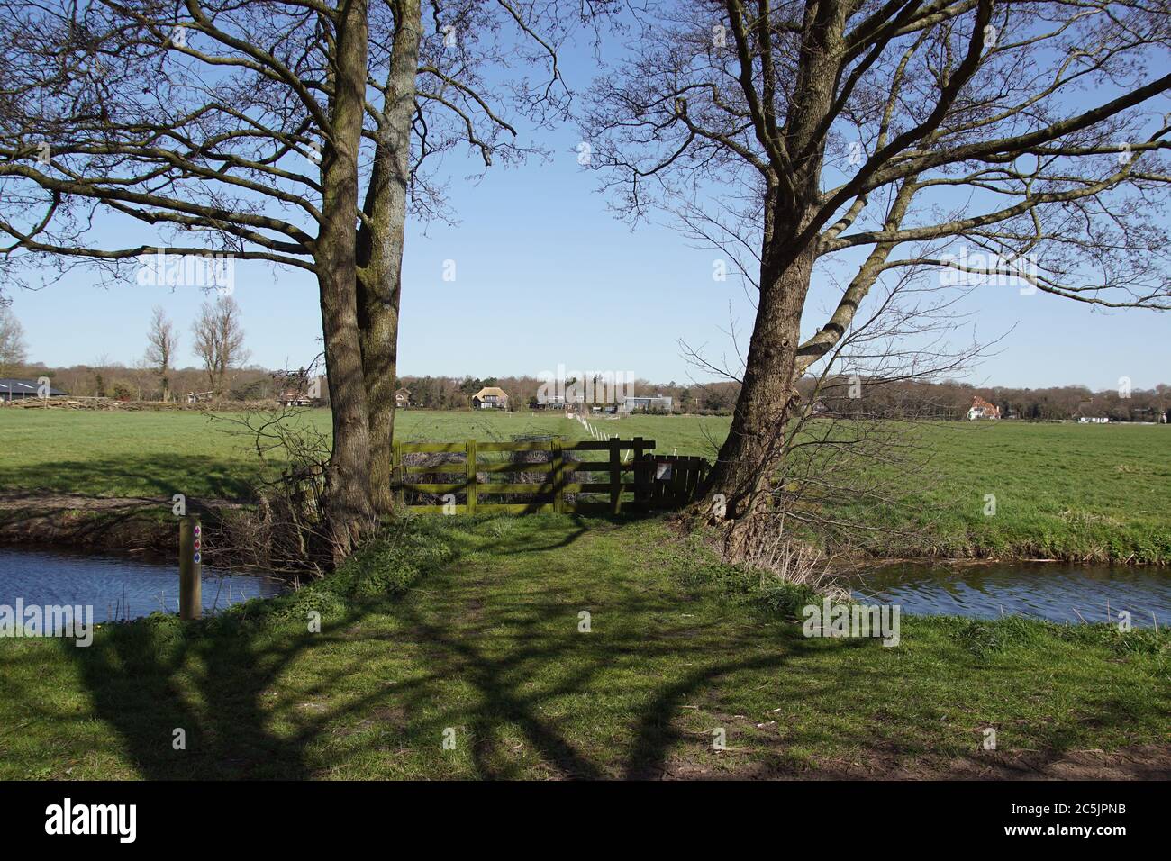 Paesaggio pascolo. Vista sui prati dietro due alberi, prato cancello un fosso. Vicino al villaggio olandese di Bergen. Paesi Bassi, marzo Foto Stock