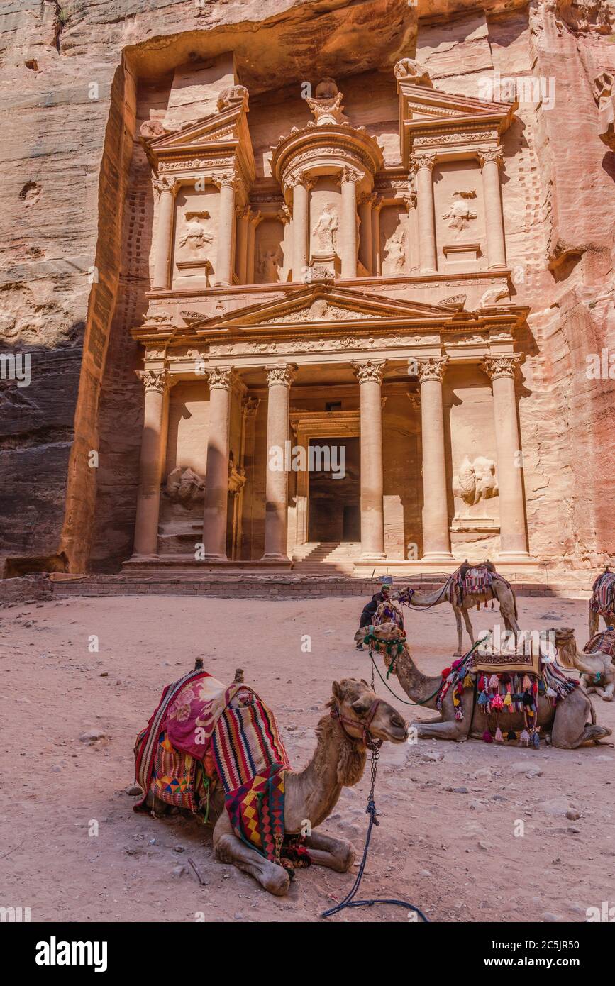 Giordania, Petra, cammelli di fronte al Khazneh o il Tesoro nella città nabataea di Petra nel Parco Archeologico di Petra è un Parco Nazionale Giordano e un sito Patrimonio Mondiale dell'UNESCO. Foto Stock