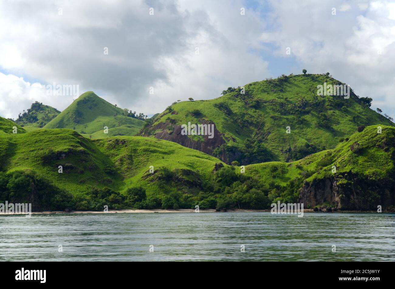 Verdi colline con verde spessa vegetazione tropicale Foto Stock