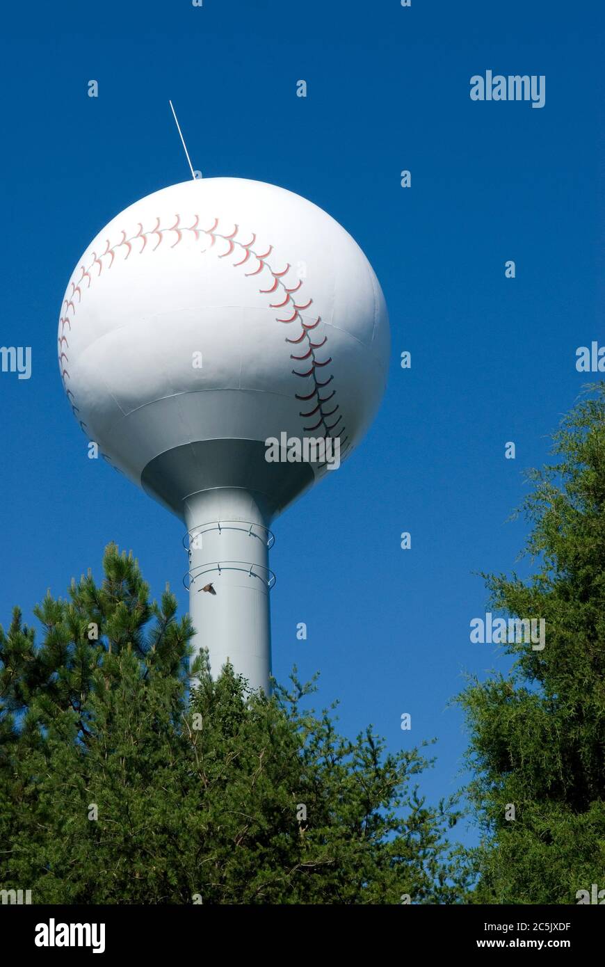 La gigantesca torre dell'acqua da baseball di Fort Mill, South Carolina Foto Stock