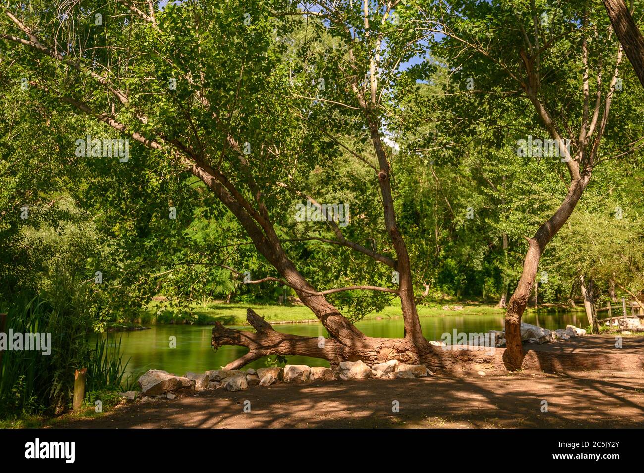 Il Parco del Grassano di Benevento è un bel parco ricco di alberi e di acqua ricca di zolfo. Foto Stock