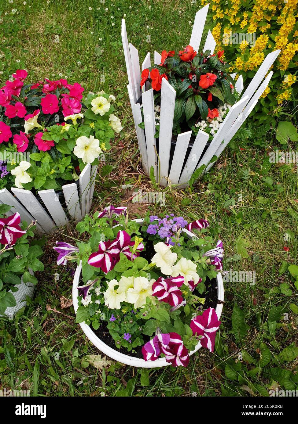 Piccoli letti fioriti con colori diversi Foto Stock