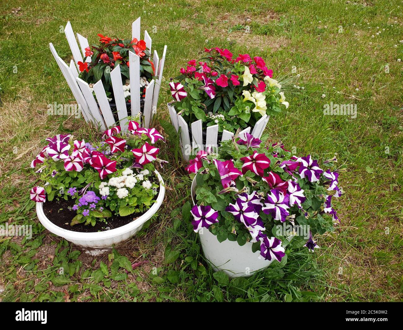 Piccoli letti fioriti con colori diversi Foto Stock