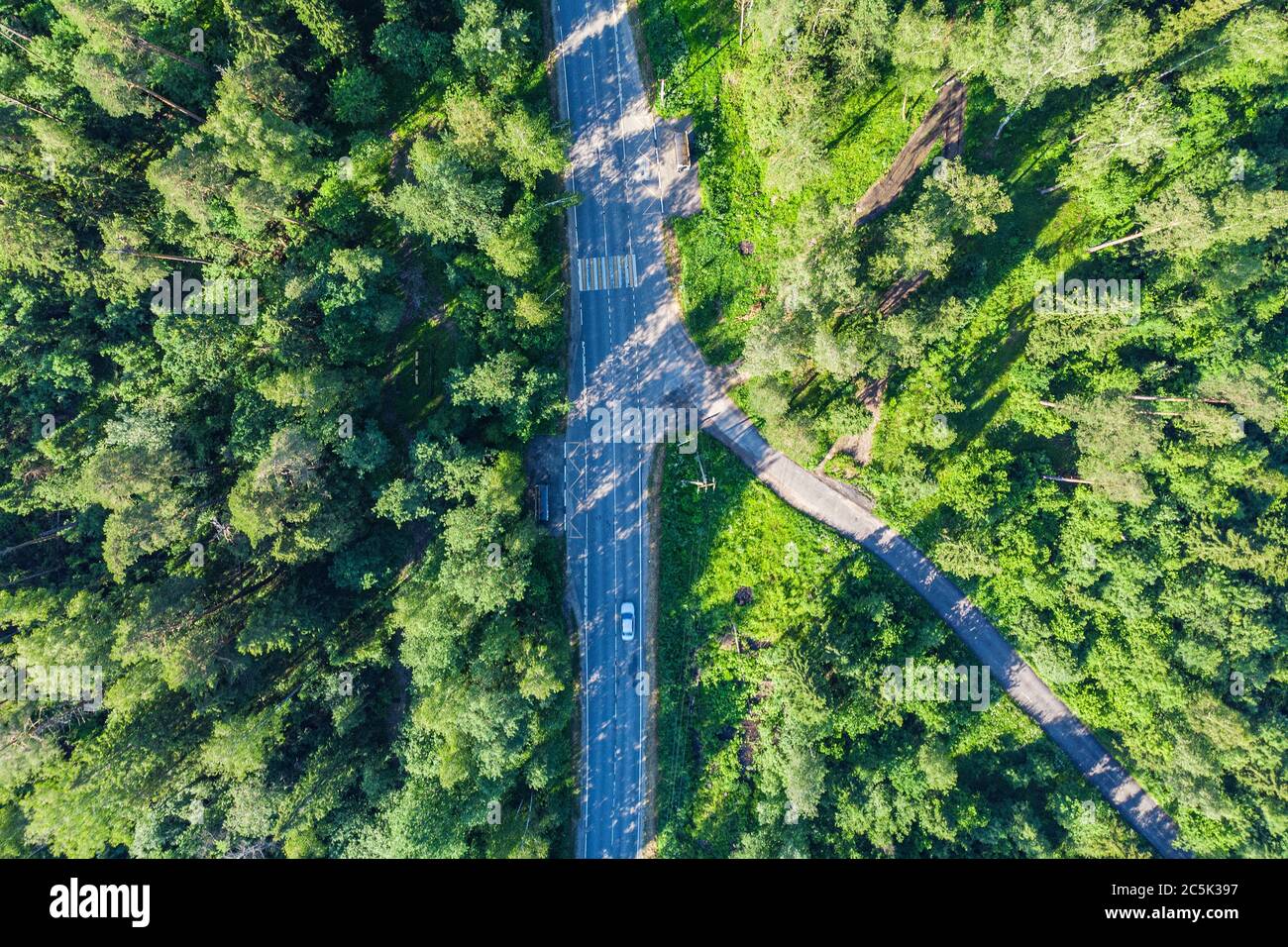 Vista aerea del drone della foresta verde. Strada in foresta dall'alto. Foto Stock