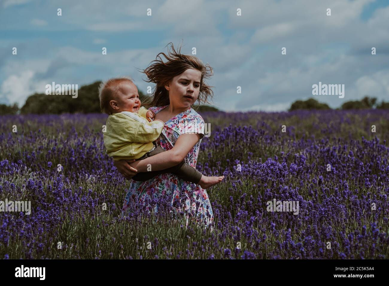 Sorella maggiore e fratellino in Lavender Field, Regno Unito Foto Stock