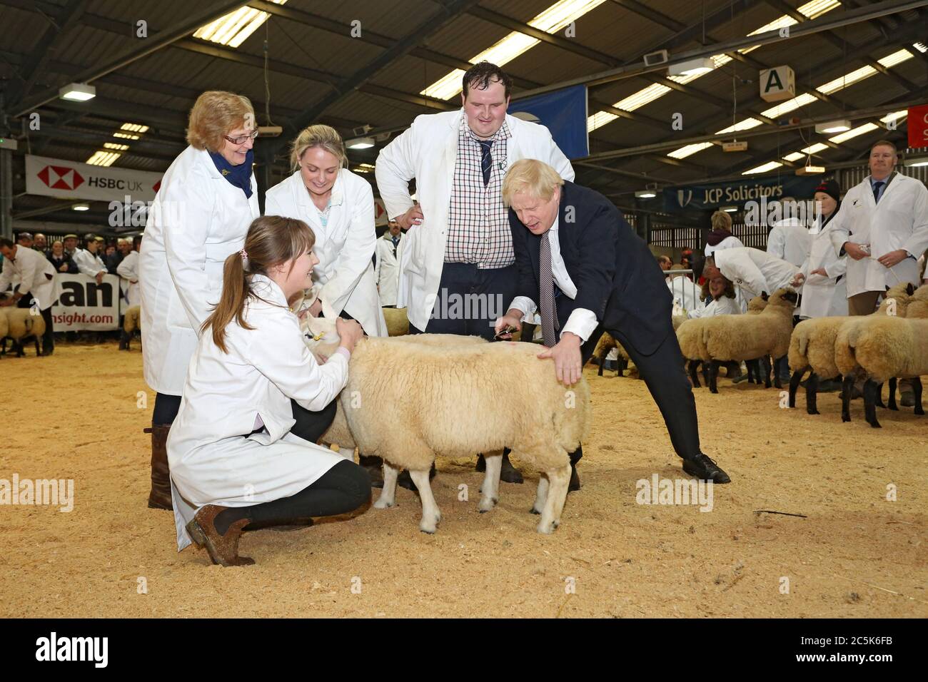 Il primo ministro Boris Johnson alla fiera invernale reale del Galles il 25 novembre 2019. Boris Johnson ritrae una pecora nell'anello delle pecore allo Showground Foto Stock