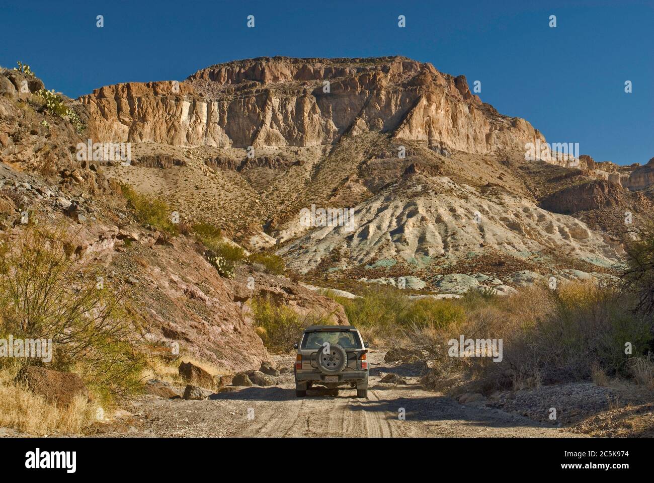 Jeep strada in zona di Three Dyke Hill a Bofecillos Mountains, Chihuahuan Desert, nel Big Bend Ranch state Park, Texas, Stati Uniti Foto Stock