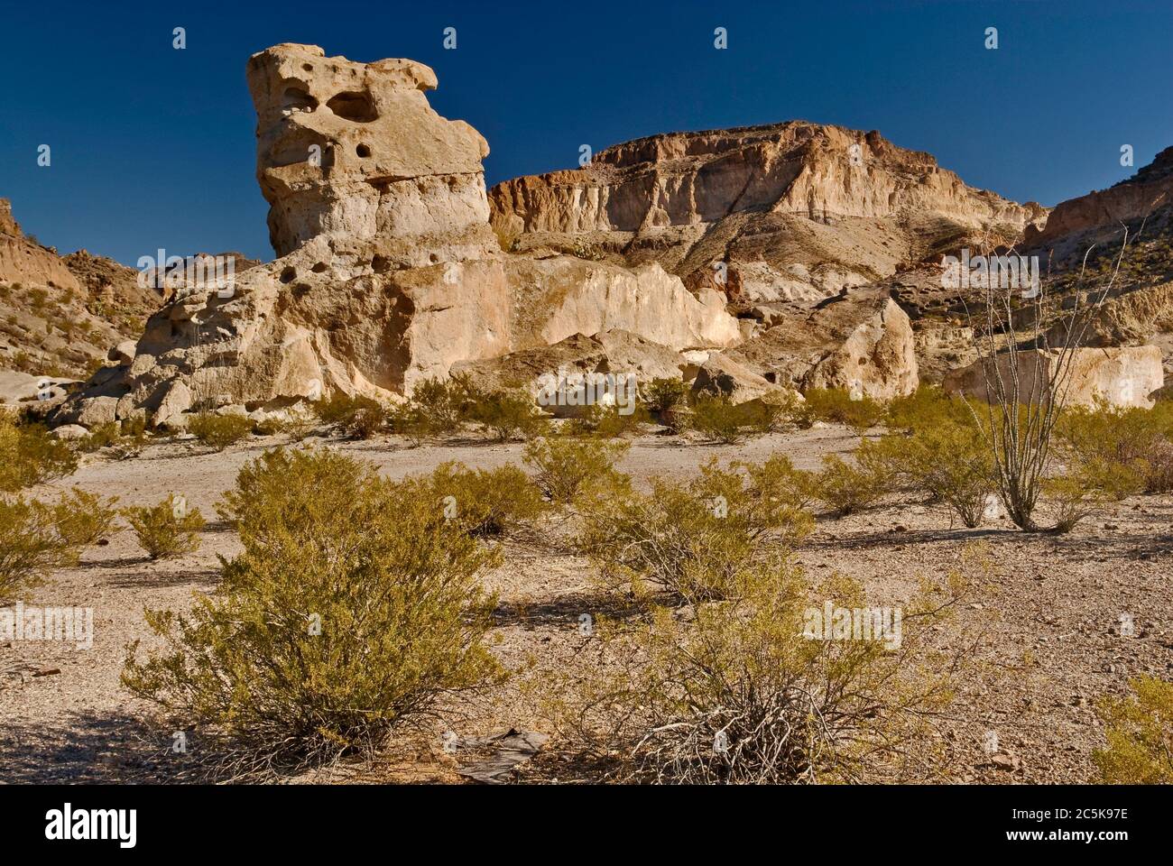 Cespugli di creosoto e rocce erose nell'area di Three Dyke Hill nelle Bofecillos Mountains, nel deserto di Chihuahuan, nel Big Bend Ranch state Park, Texas, USA Foto Stock