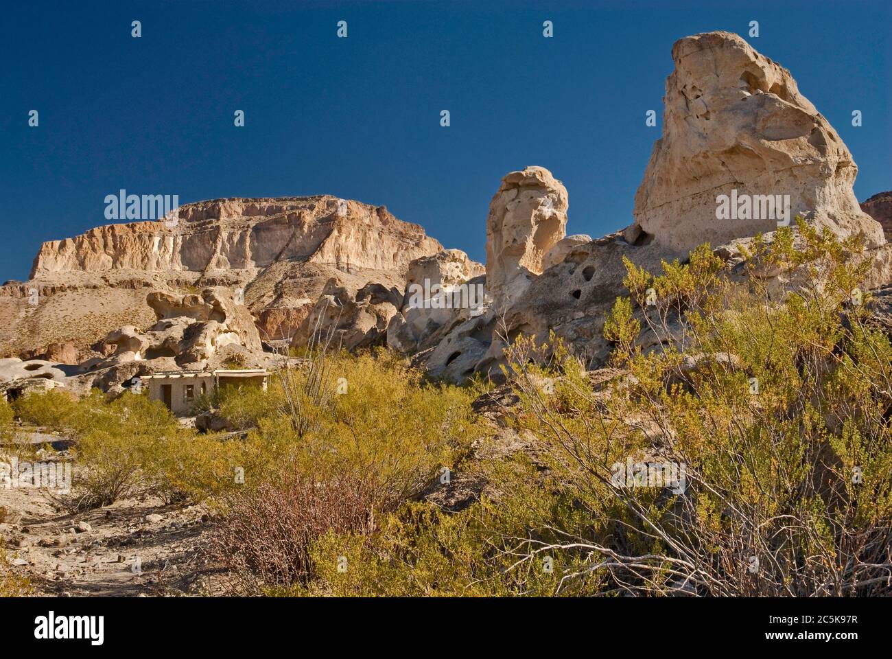 Cespugli di creosoto e rocce erose nell'area di Three Dyke Hill nelle Bofecillos Mountains, nel deserto di Chihuahuan, nel Big Bend Ranch state Park, Texas, USA Foto Stock