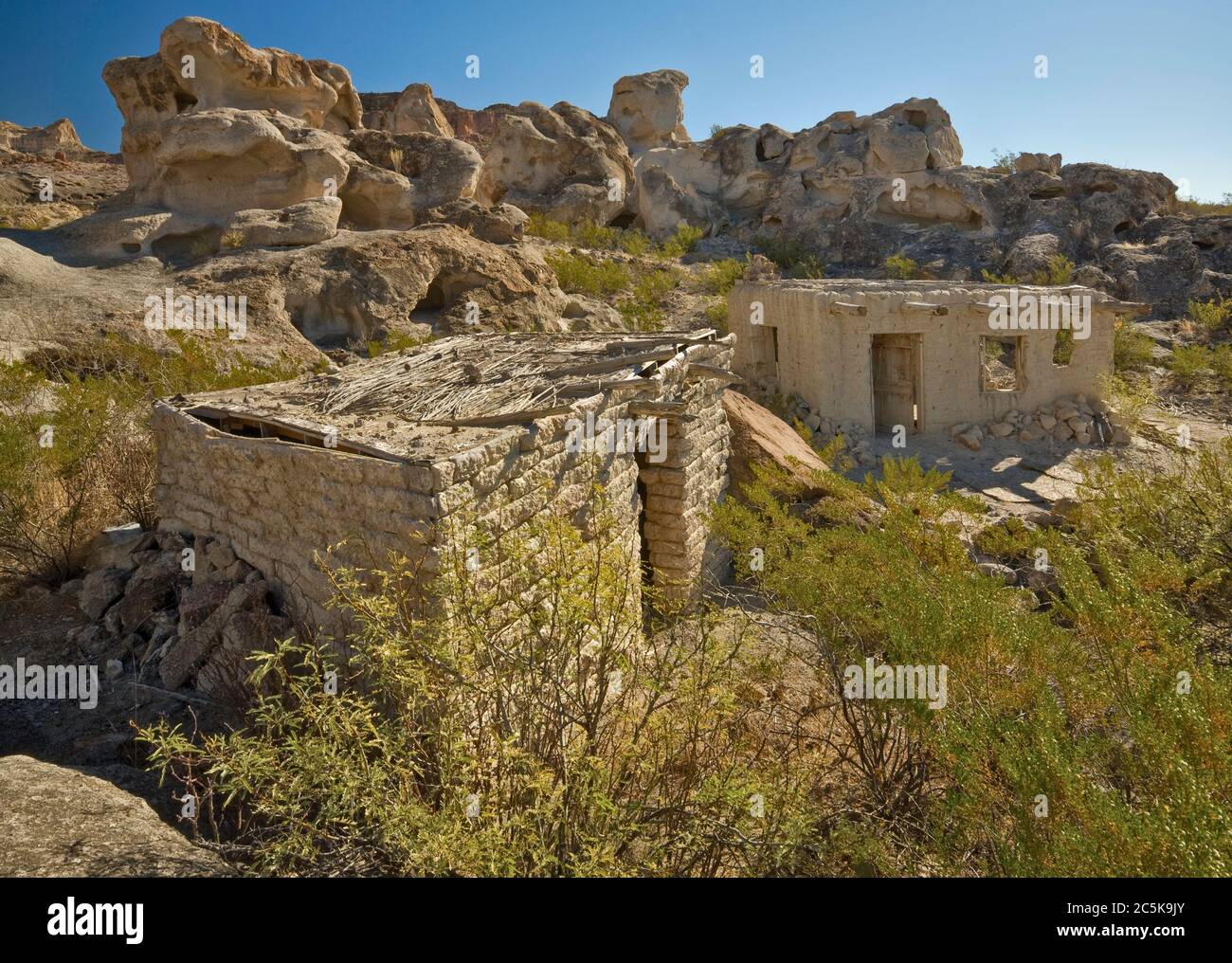 Cespugli di creosoto alle rovine di case di adobe vicino a miniere abbandonate in zona di Three Dyke Hill a Bofecillos Mountains nel Big Bend Ranch state Park, Texas, Stati Uniti Foto Stock