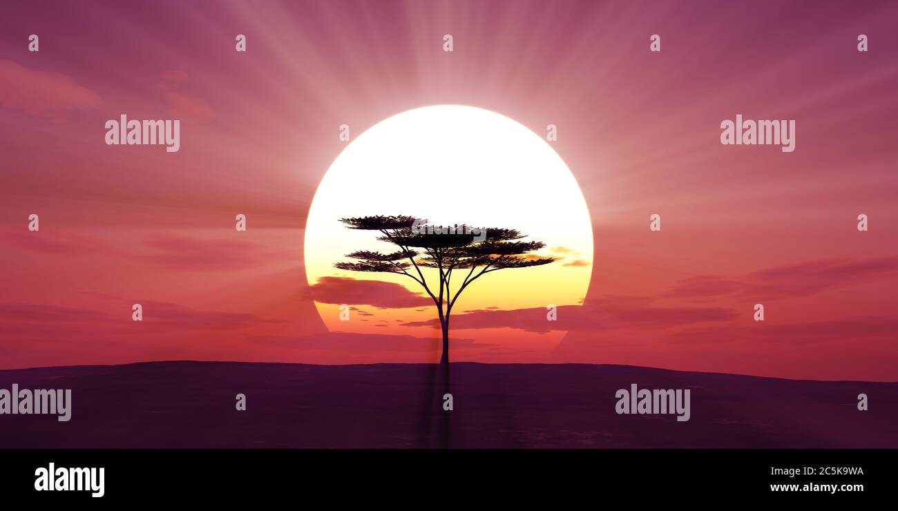 grande tramonto del sole paesaggio albero, illustrazioni 3d Foto Stock