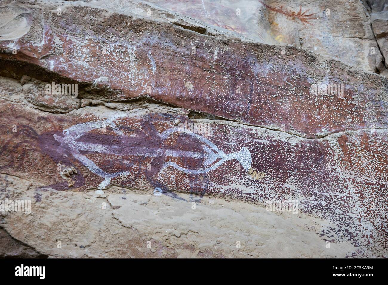 Nanguluwurr, Australia - 13 Marzo 2020: Antica arte rupestre aborigena australiana a Nanguluwurr. Foto Stock
