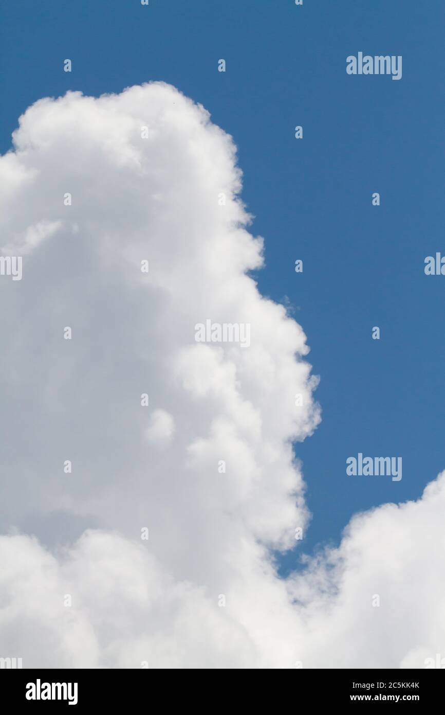 Le nuvole Cumulus si costruiscono in un cielo blu scuro prima di una tempesta di pioggia. Foto Stock