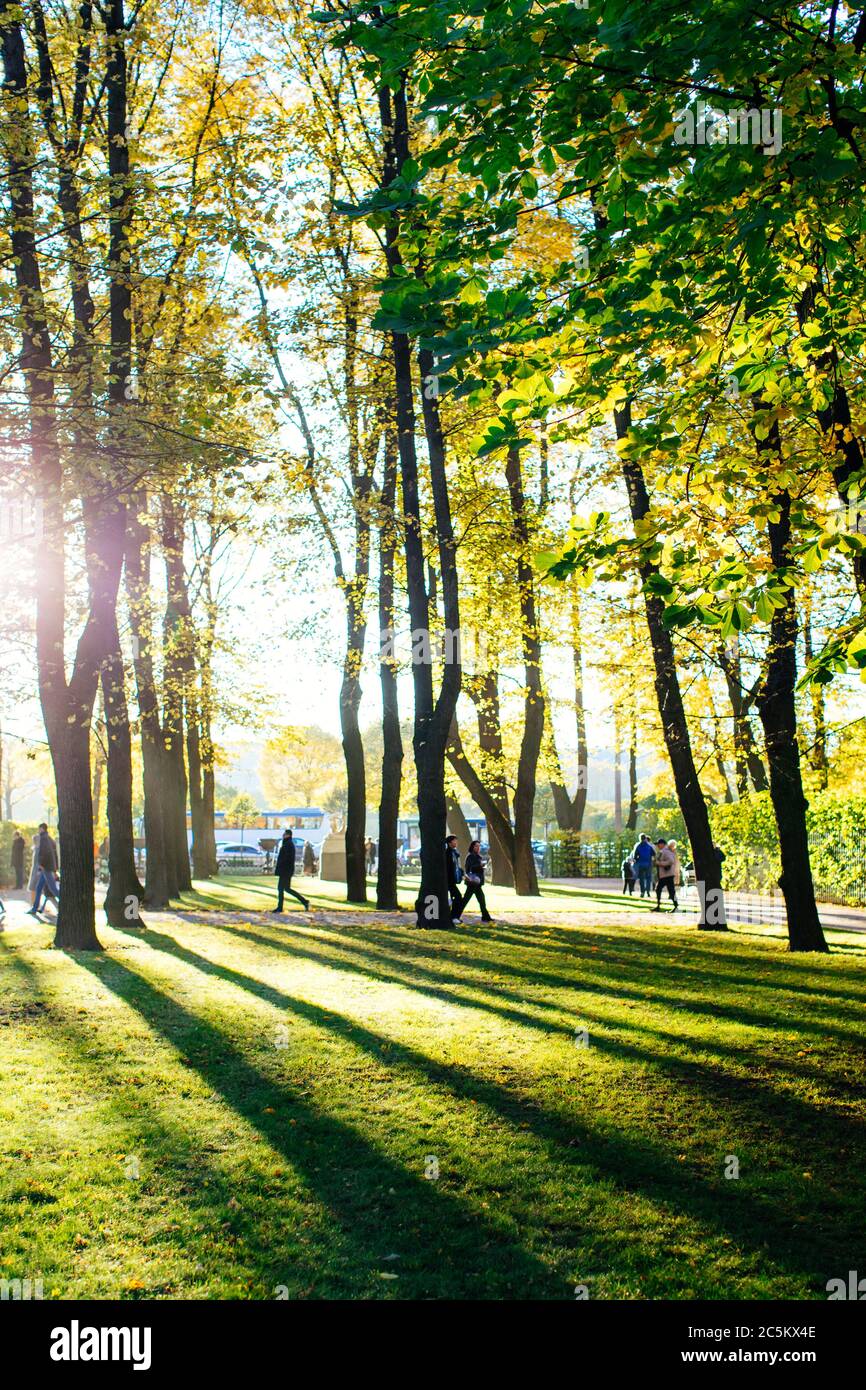 Parco autunnale con ombre di alberi sull'erba al tramonto, silhouette di persone sullo sfondo Foto Stock