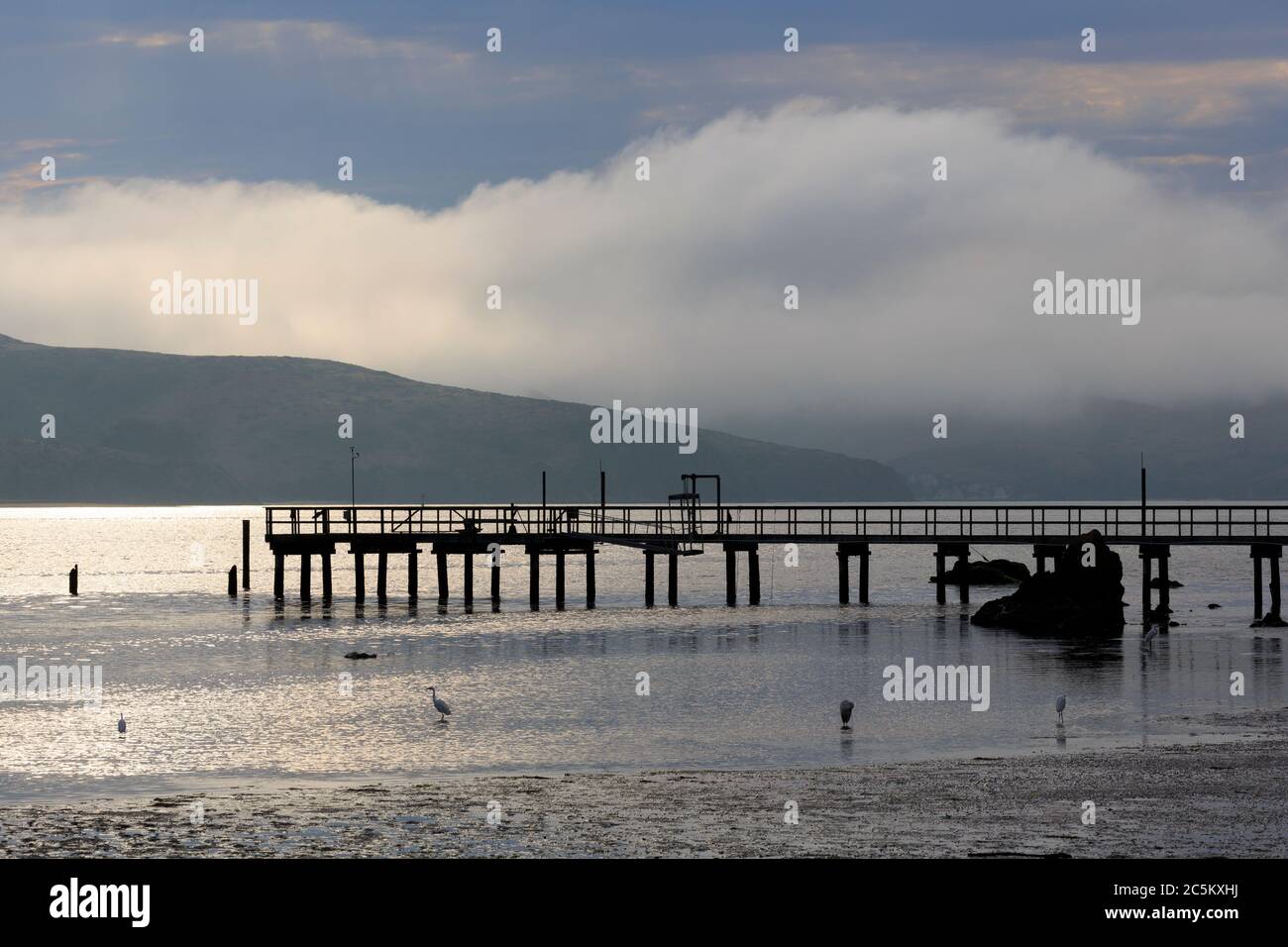 Molo di Nick's Cove a Tomales Bay, California, Stati Uniti Foto Stock