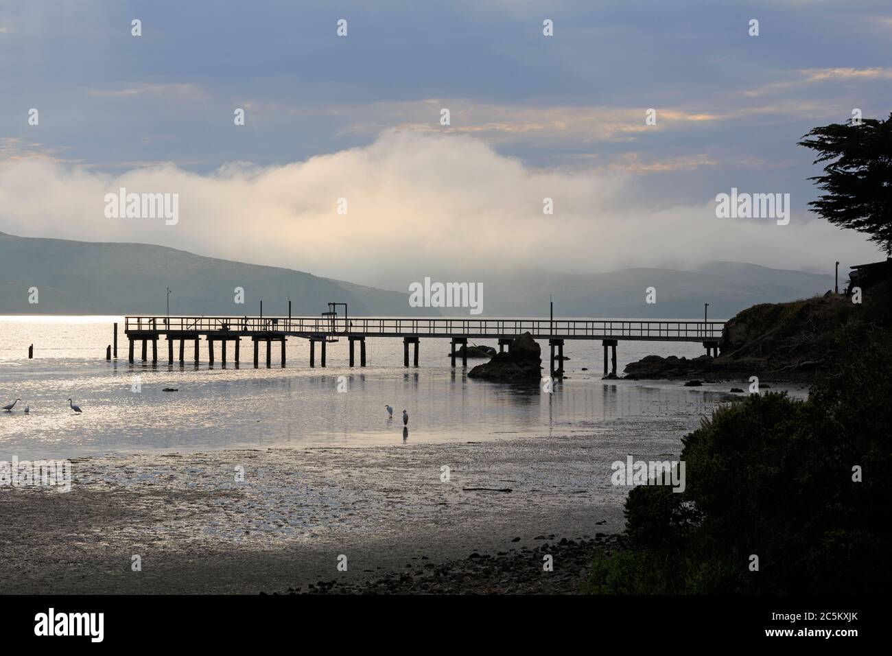 Molo di Nick's Cove a Tomales Bay, California, Stati Uniti Foto Stock