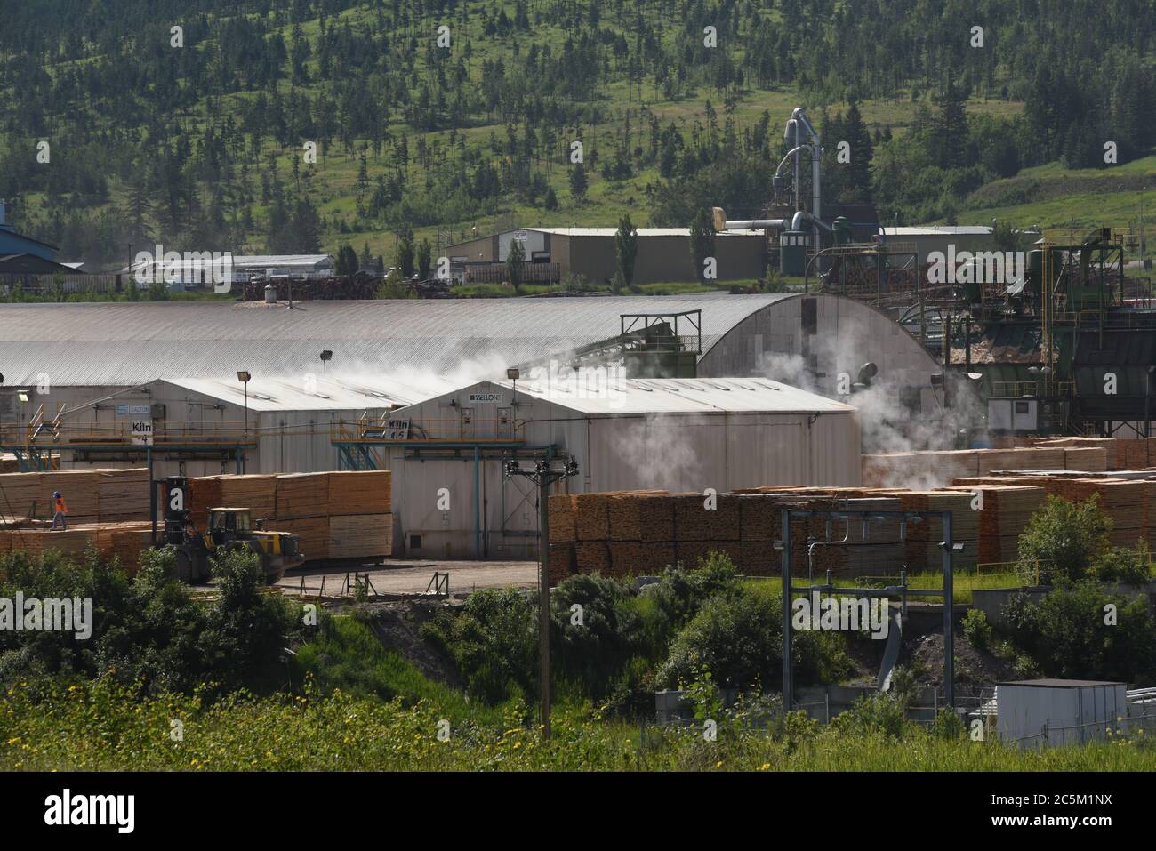 Il vapore fuoriesce dalle fornaci di essiccazione presso i cantieri Lakeview di Tolko Industries, nel lago Williams, British Columbia, Canada. Legname appena macinato, bagnato o verde Foto Stock