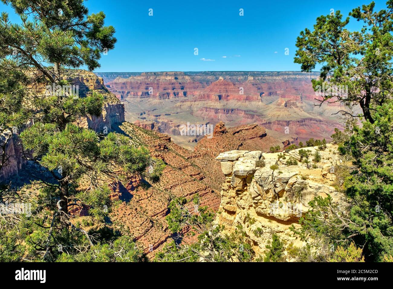 Vista dal bordo del Grand Canyon. STATI UNITI Foto Stock
