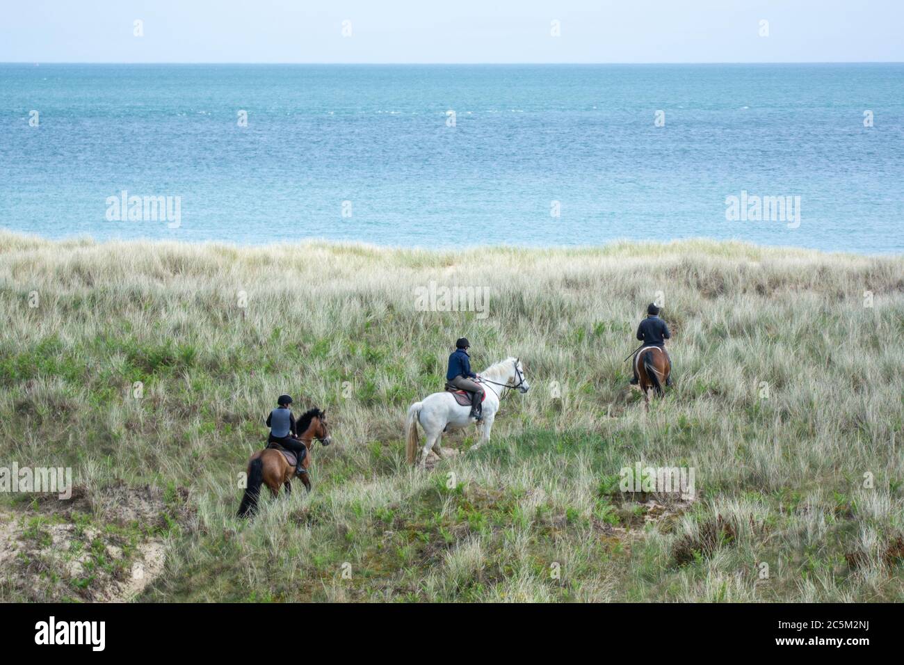 Tre cavalieri sulle dune erbose della costa di Wexford in Irlanda Foto Stock