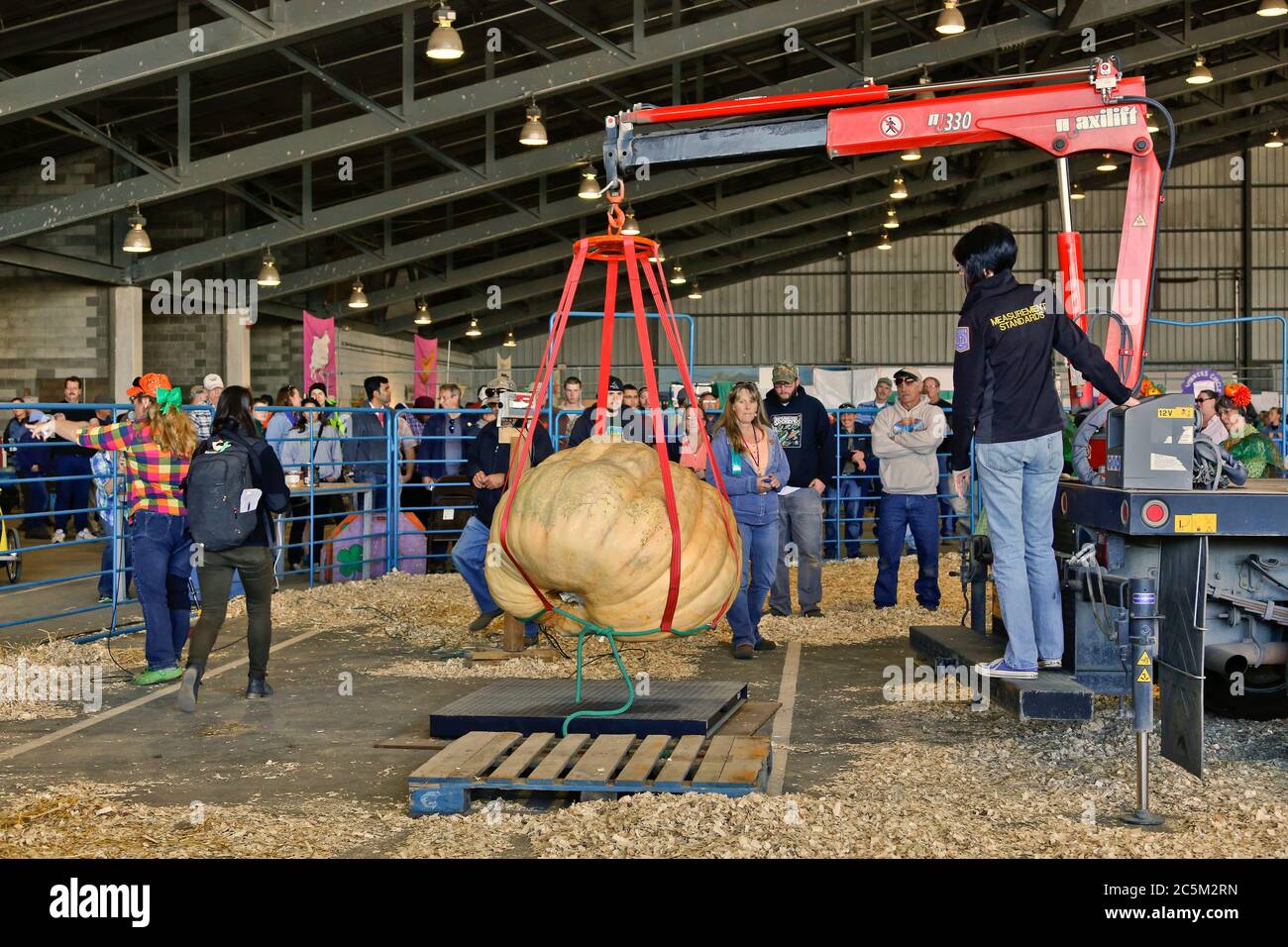 Fiera statale dell'Alaska 2015, gara di pesata di pumpking gigante, agricoltori e spettatori vigili, Alaska. Foto Stock