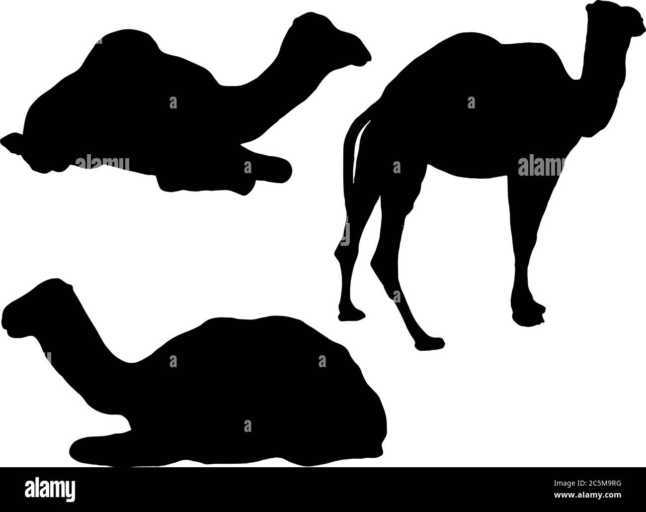 Set di illustrazioni vettoriali per la silhouette dei cammelli Illustrazione Vettoriale